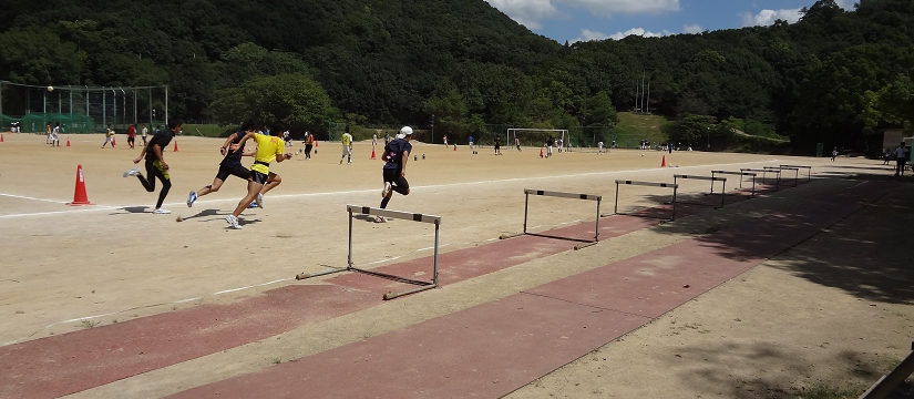 dsc00700.jpg