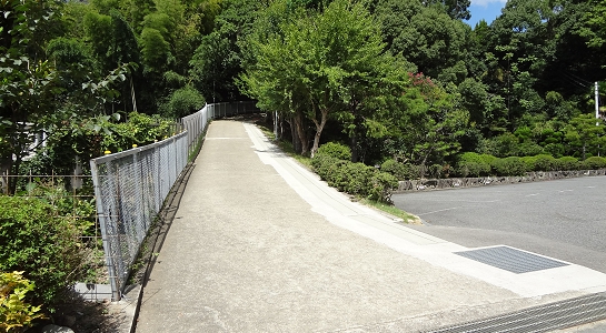 dsc00691.jpg