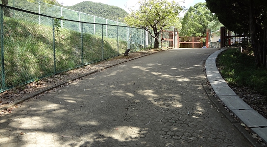 dsc00694.jpg